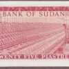 Sudan B306a/P11a UNC - Image 2
