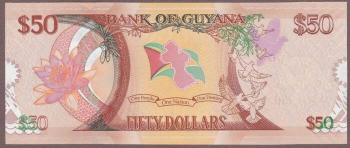 Guyana B119a/P41 UNC - Image 2