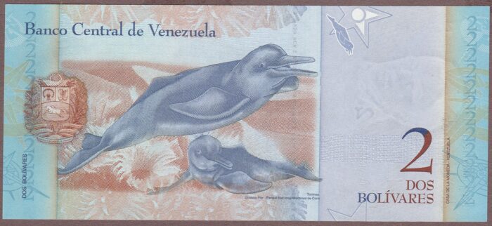 Venezuela 2008 B358cz/P88c* REPLACEMENT UNC - Image 2